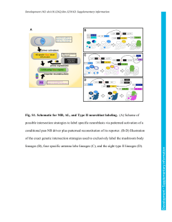 Supplementary information