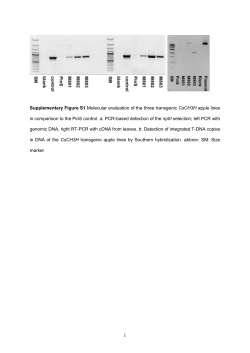 Download this supplementary material