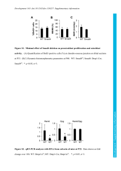 Supplementary information