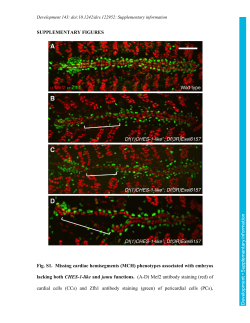 Supplementary information