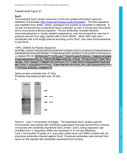 Supplementary information