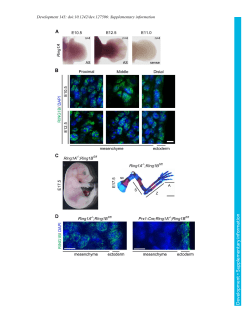 Supplementary information
