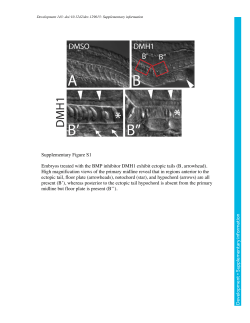 Supplementary information