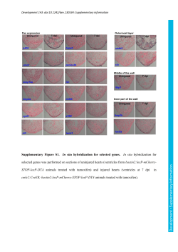 Supplementary information