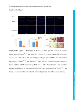 Supplementary information