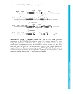 Supplementary information