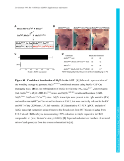 Supplementary information