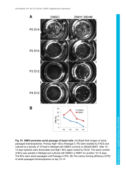 Supplementary information