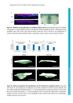 Supplementary information