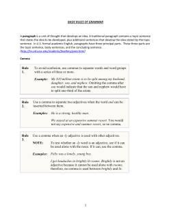 Basic Rules of Grammar WORD 2007