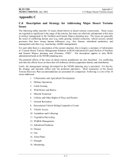 C. Description and Strategy for Addressing Major Desert Tortoise Issues