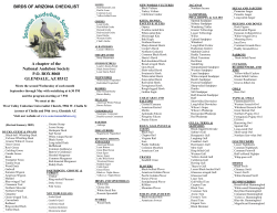 Birds of Arizona - Checklist