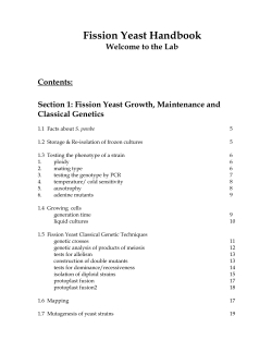 Fission Yeast Handbook