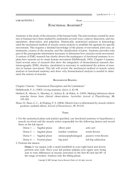 Lab Activity 3.pdf