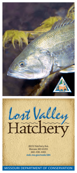 Lost Valley Fish Hatchery Area Lobby Card