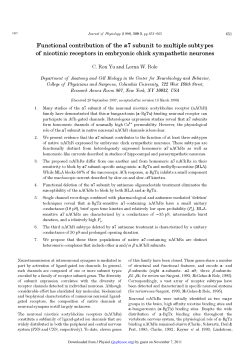 Functional contribution of the alpha 7 subunit to multiple subtypes of nicotinic receptors in embryonic chick sympathetic neurons.