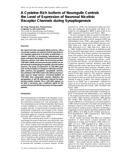 A cysteine-rich isoform of neuregulin controls the level of expression of neuronal nicotinic receptor channels during synaptogenesis.