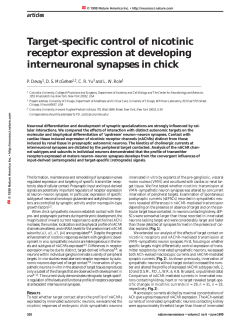 Target-specific control of nicotinic receptor expression at developing interneuronal synapses in chick.
