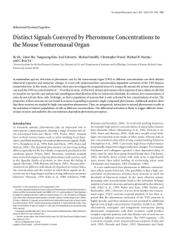 Distinct Signals Conveyed to Pheromone Concentrations to the Mouse Vomeronasal Organ.