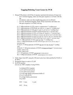 Tagging Genes in Yeast