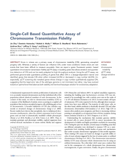 "Single-Cell Based Quantitative Assay of Chromosome Trasmission Fidelity",