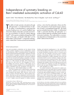 "Independence of Symmetry Breaking on Bem1-Mediated Autocatalytic Activation of Cdc42",