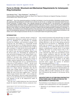 "Force to Divide: Structural and Mechanical Requirements for Actomyosin Ring Contraction",