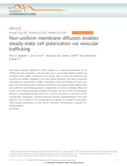 "Non-uniform Membrane Diffusion Enables Steady-State Cell Polarization via Vesicular Trafficing",