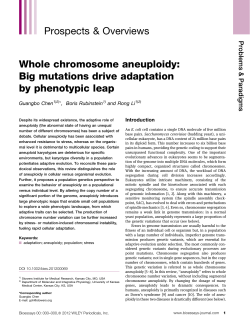 "Whole Chromosome Aneuploidy: Big Mutations Drive Adaptation by Phenotipic Leap",