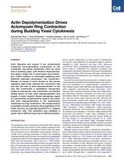"Actin Depolymerization Drives Actomyosin Ring Contraction during Budding Yeast Cytokinesis",