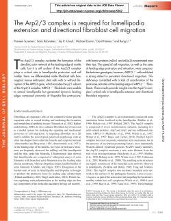 "The Arp2/3 Complex is Required for Lamellipodia Extension and Directional Fibroblast Cell Migration",