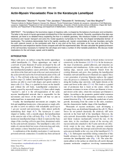 "Actin-Myosin Viscoelastic Flow in the Keratocyte Lamellipod",