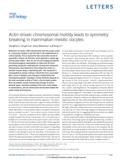 "Actin-driven Chromosomal Motility Leading to Symmetry Breaking in Mammalian Meiotic Oocytes",