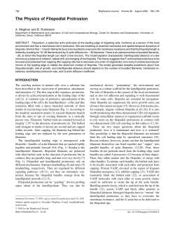 "The Physics of Filopodial Protrusion"