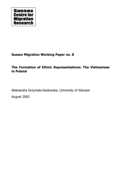 The Formation of Ethnic Representations: The Vietnamese in Poland [PDF 218.09KB]