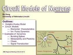 DengNeuroCircuits12.pptx