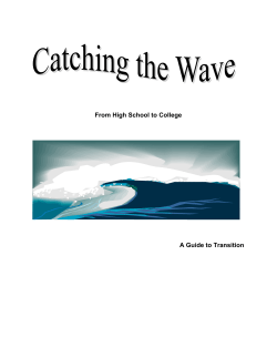 Catching the wave document opens in window
