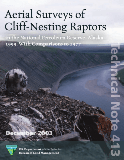 Ritchie, R. Wildman, A., and Yokel, D. Aerial Surveys of Cliff-Nesting Raptors in the National Petroleum Reserve - Alaska, 1999, with Comparison to 1977. 2003. Technical Note 413