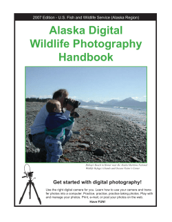 http://alaska.fws.gov/external/education/pdf/ak_digital_photography_handbook.pdf