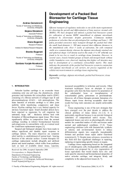 Development of a Packed Bed Bioreactor for Cartilage Tissue Engineering