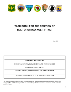 Helitorch Manager (HTMG)