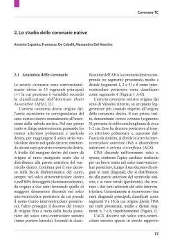 DeCobelli.pdf