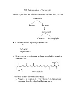 beta carotene lecturebig