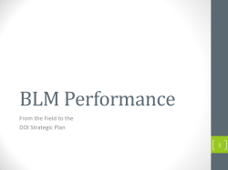 BLM Performance: From the Field to the DOI Strategic Plan