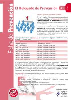 El Delegado de Prevenci n