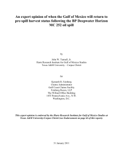 a 27-page analysis