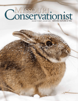 Download the current issue