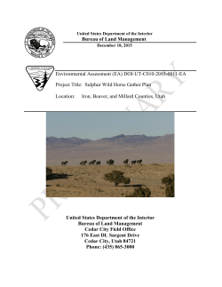 Preliminary Environmental Assessment (EA)