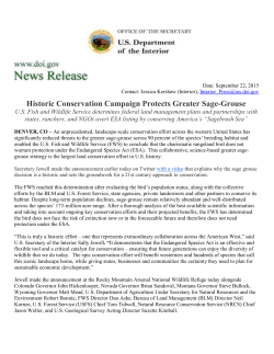 Historic Conservation Campaign Protects Greater Sage-Grouse