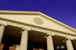 Determinants and Health Consequences of Gestational Diabetes Mellitus - A Life Course Perspective